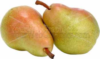 photo - pears2-jpg